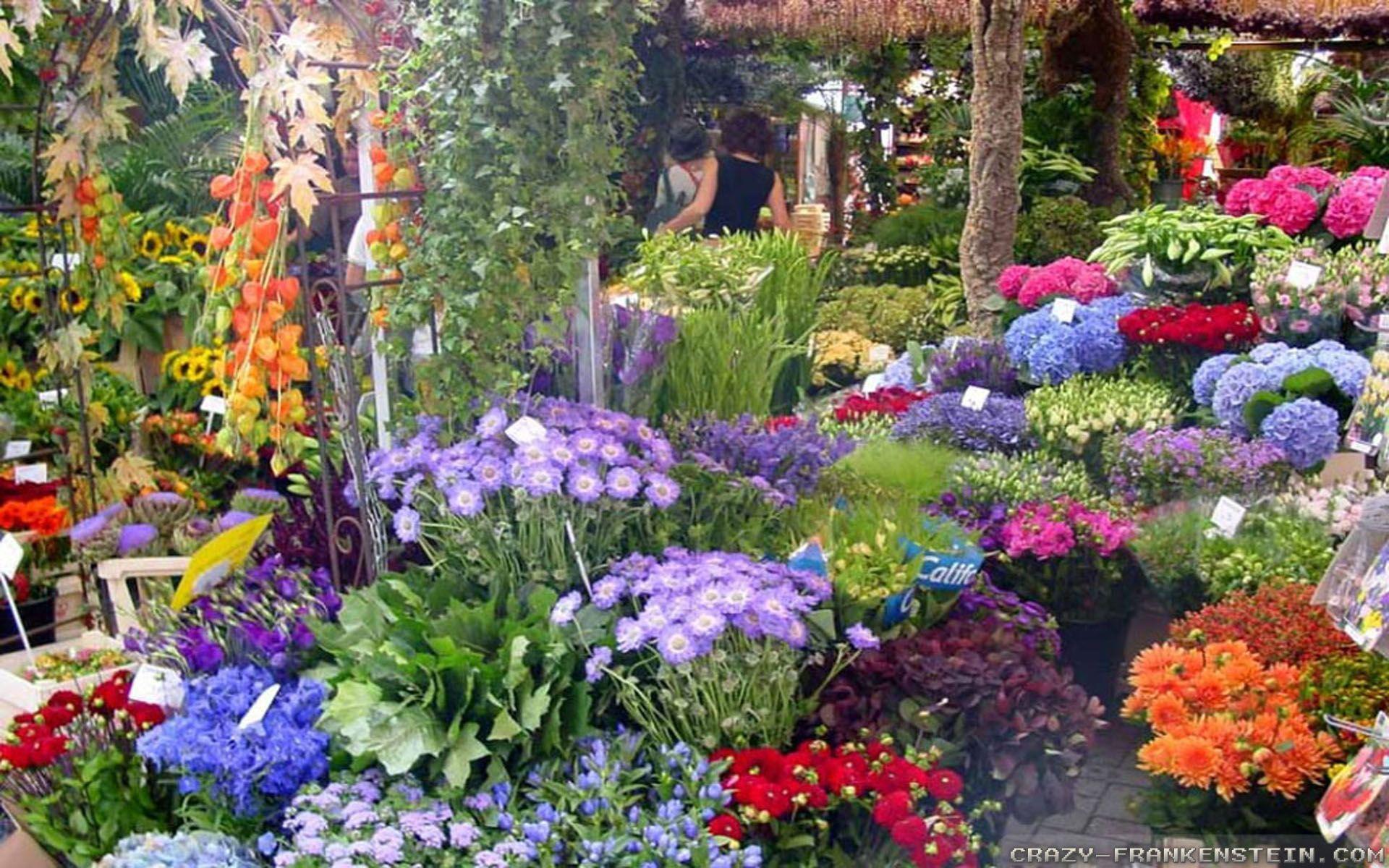 1920x1200 flower garden .com