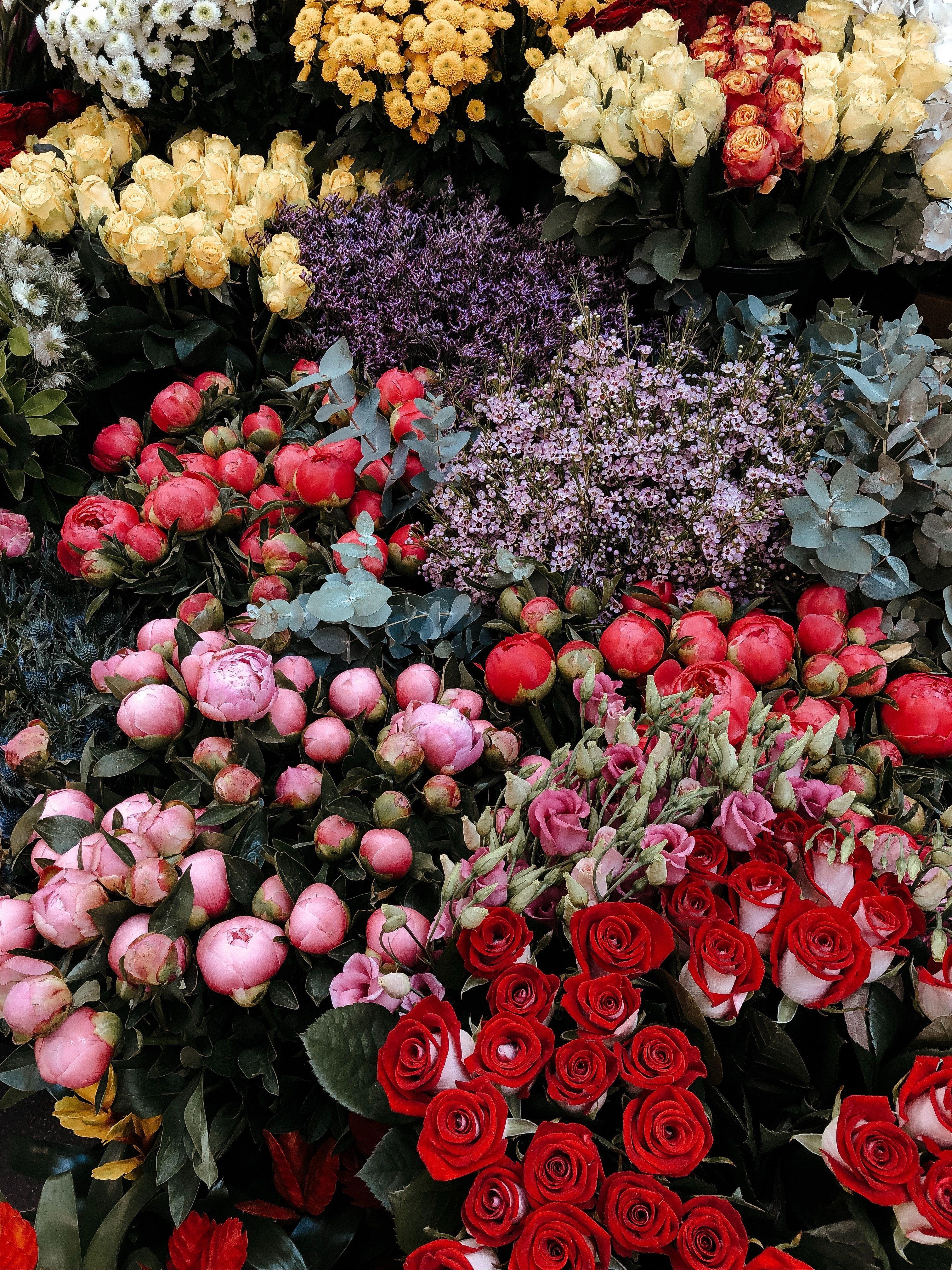 3024x4032 Flowers, Flower .com