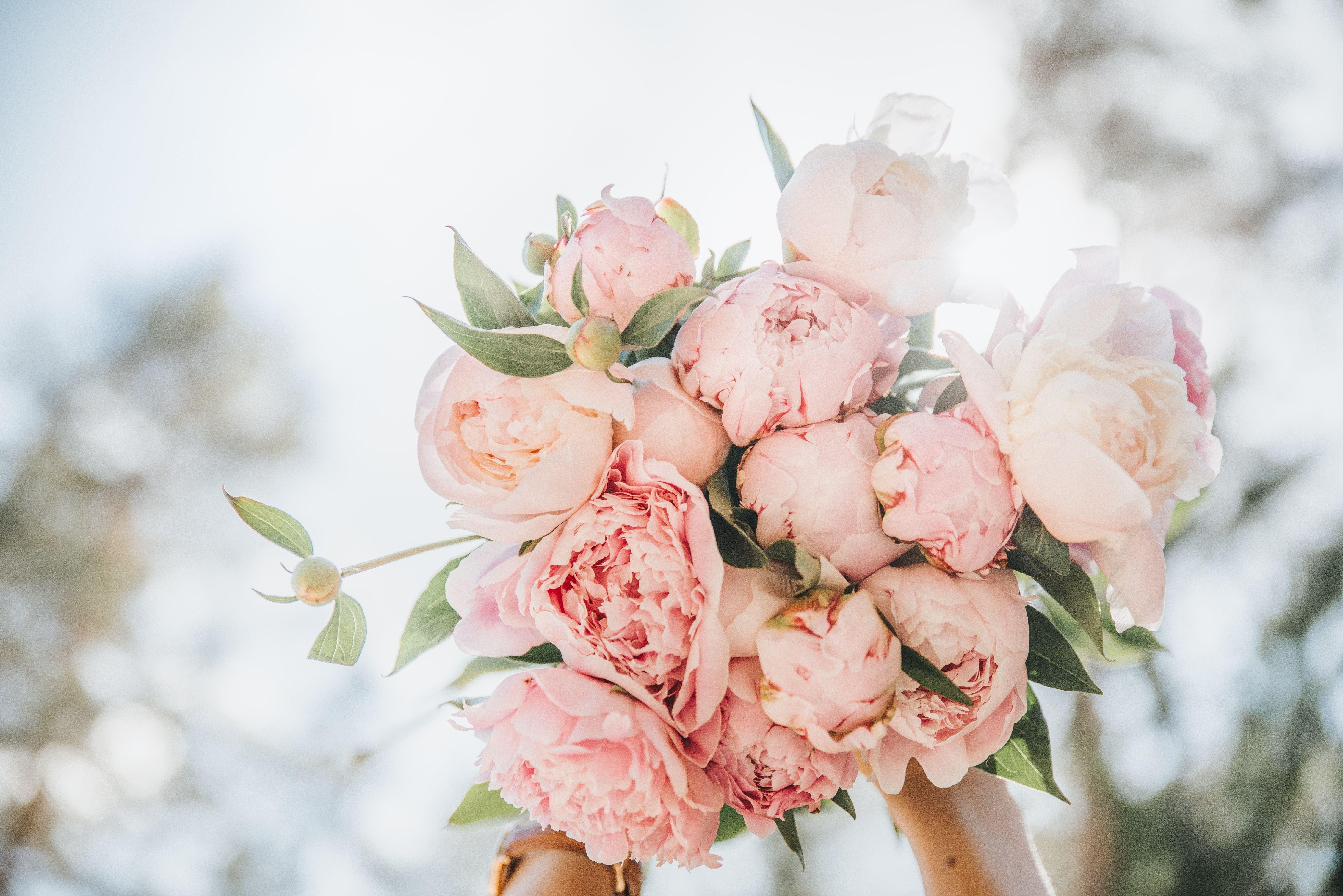 7201x4806 flower market HD wallpaper,