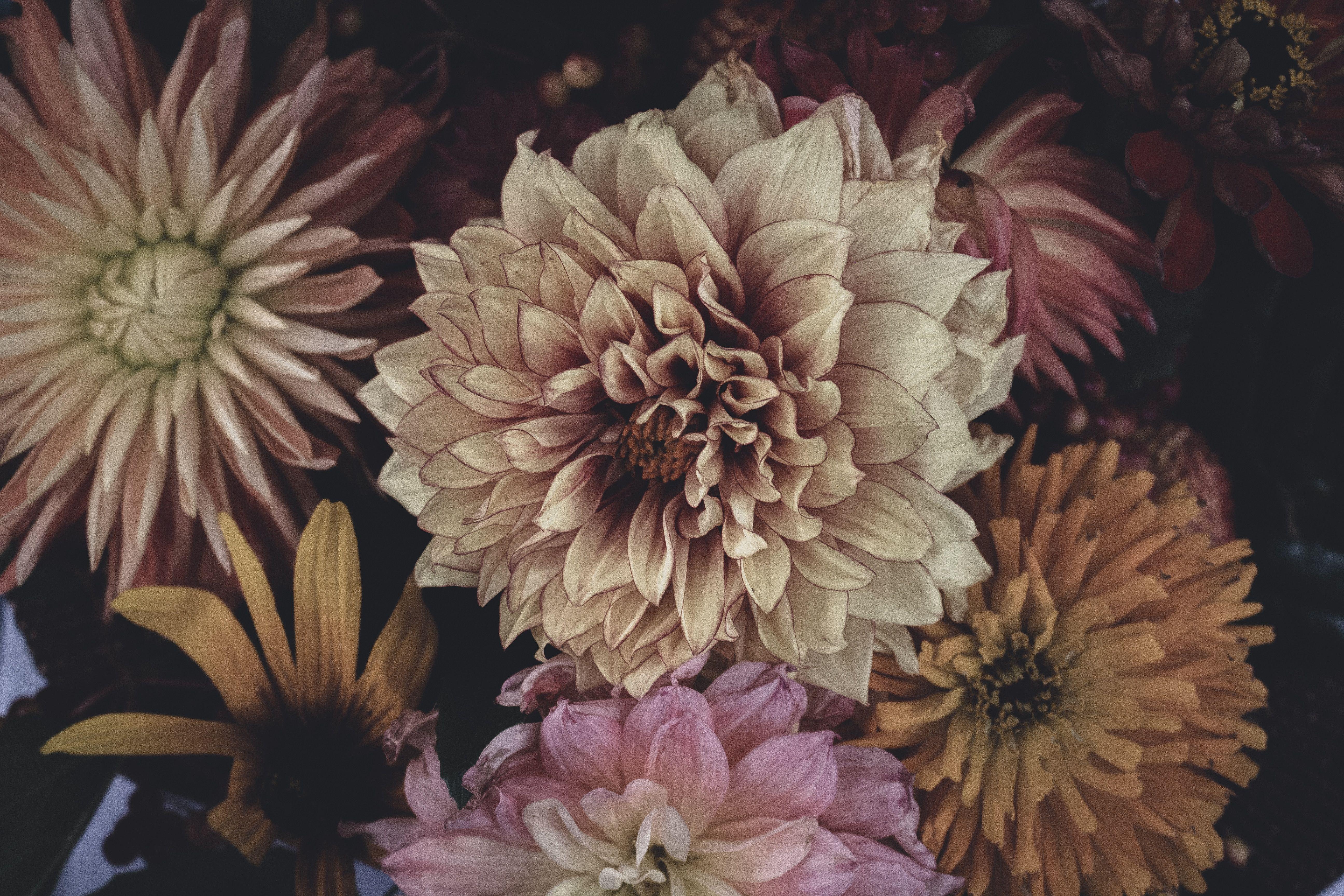 5184x3456 flower market HD wallpaper,
