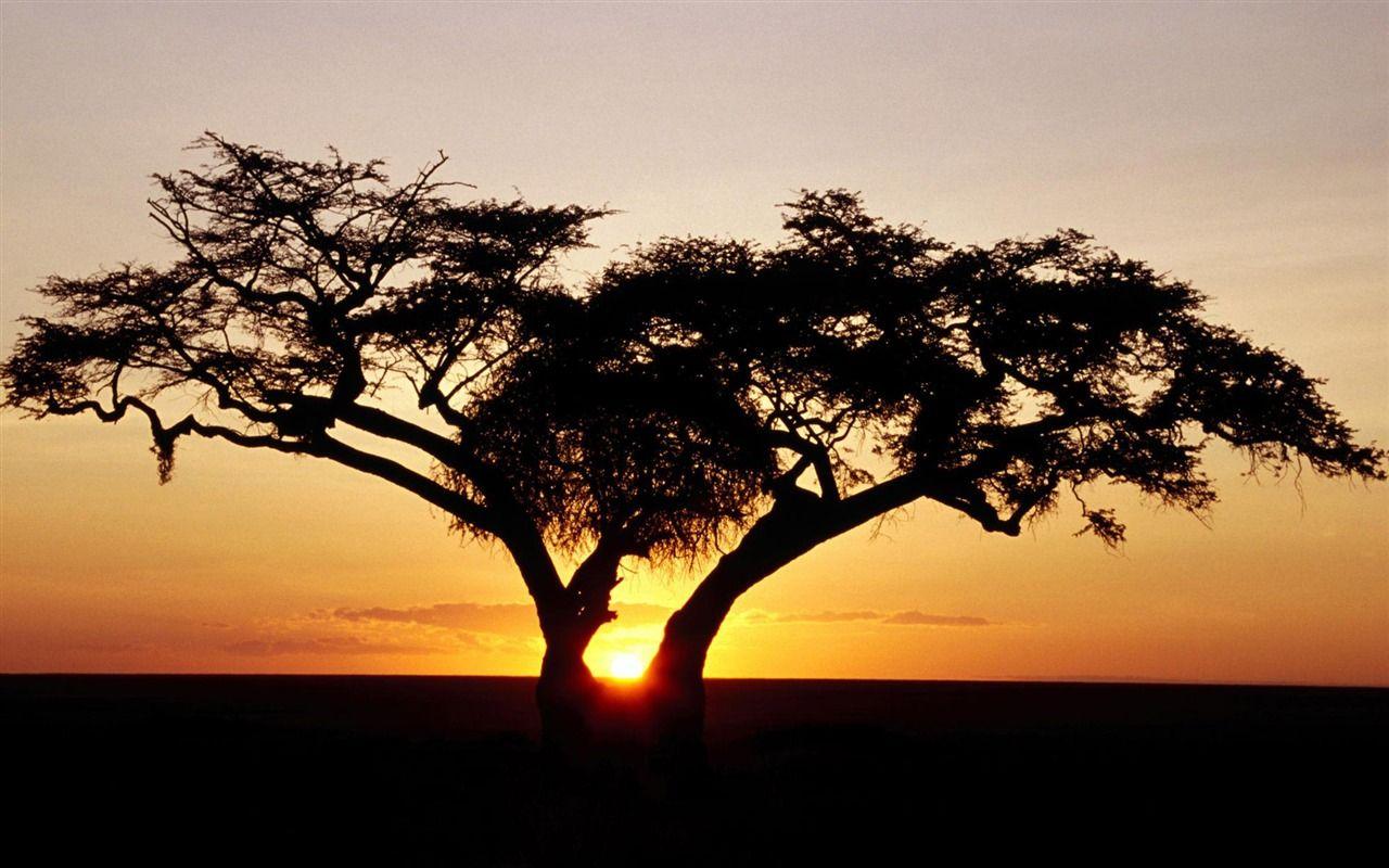 1280x800 Webshots landscape photography wallpaper Wallpaper