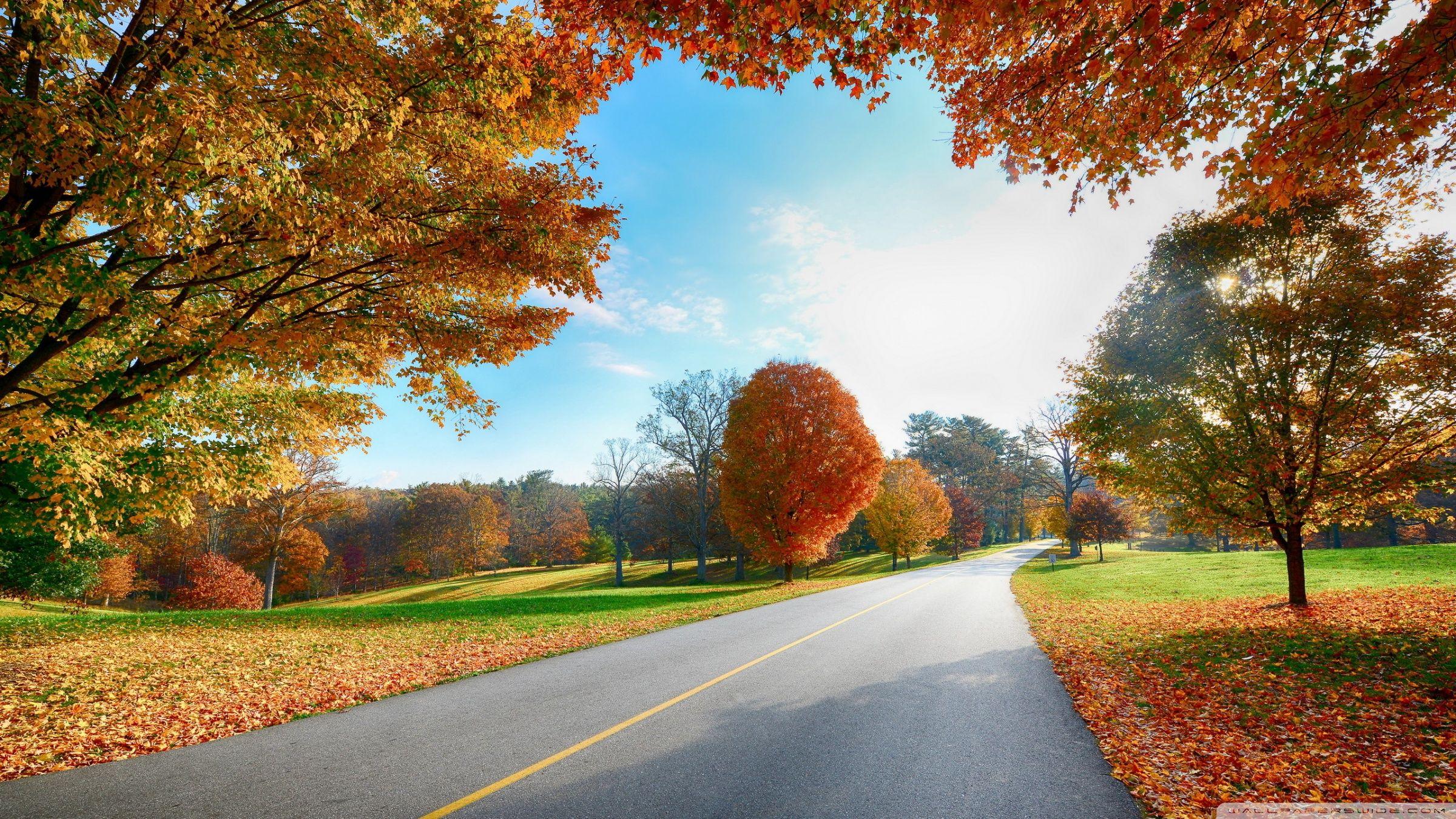 2400x1350 Landscape ❤ 4K HD Desktop Wallpaper for 4K Ultra HD TV • Dual