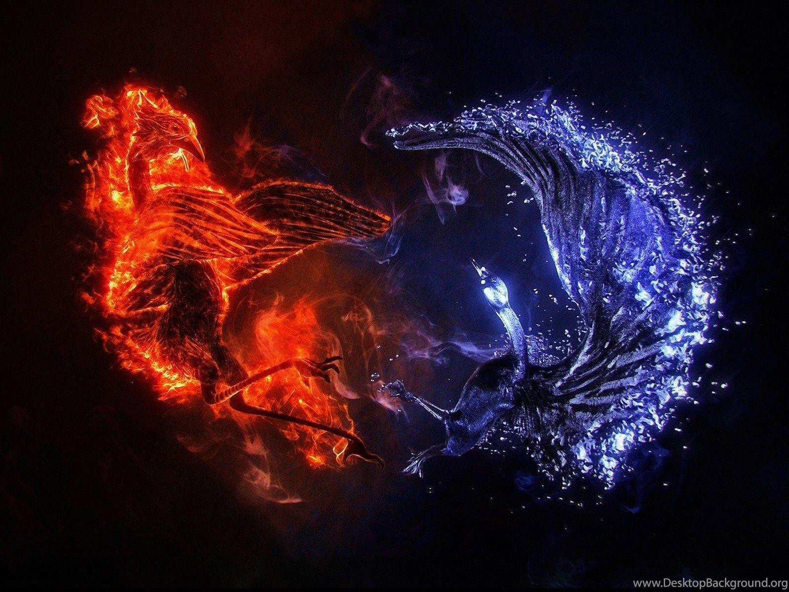 1600x1200 Blue Phoenix Wallpaper 3 Wallpaper Z .