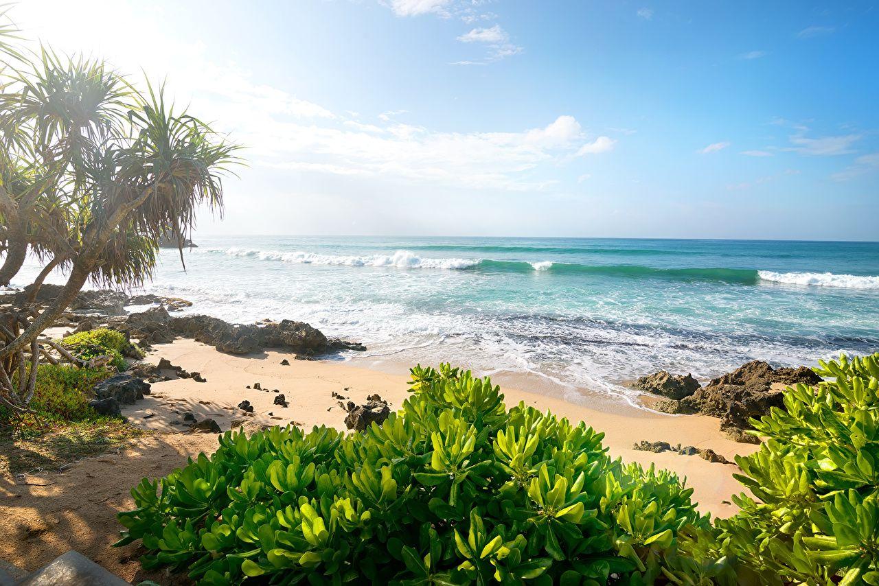 1280x854 Desktop Wallpaper beaches Sea Nature .