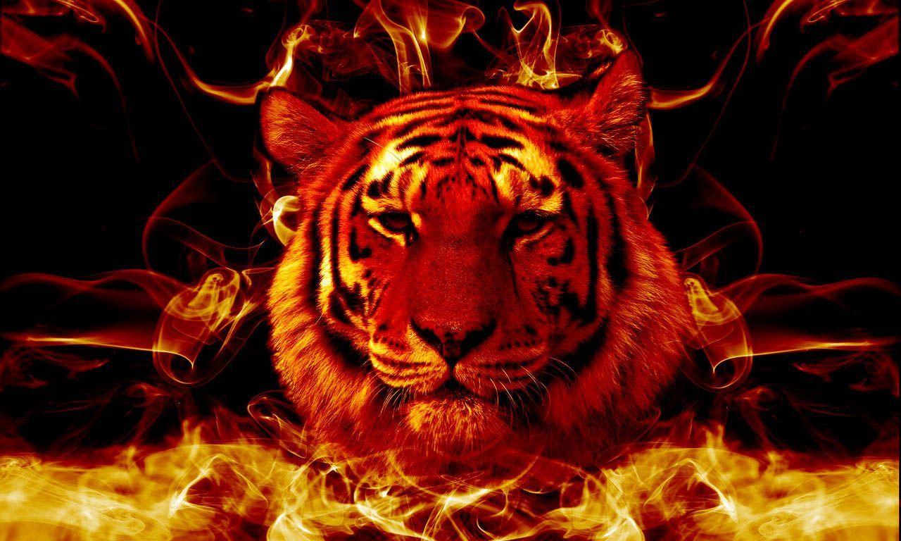 Flame Tiger Wallpapers - Top Free Flame Tiger Backgrounds - WallpaperAccess