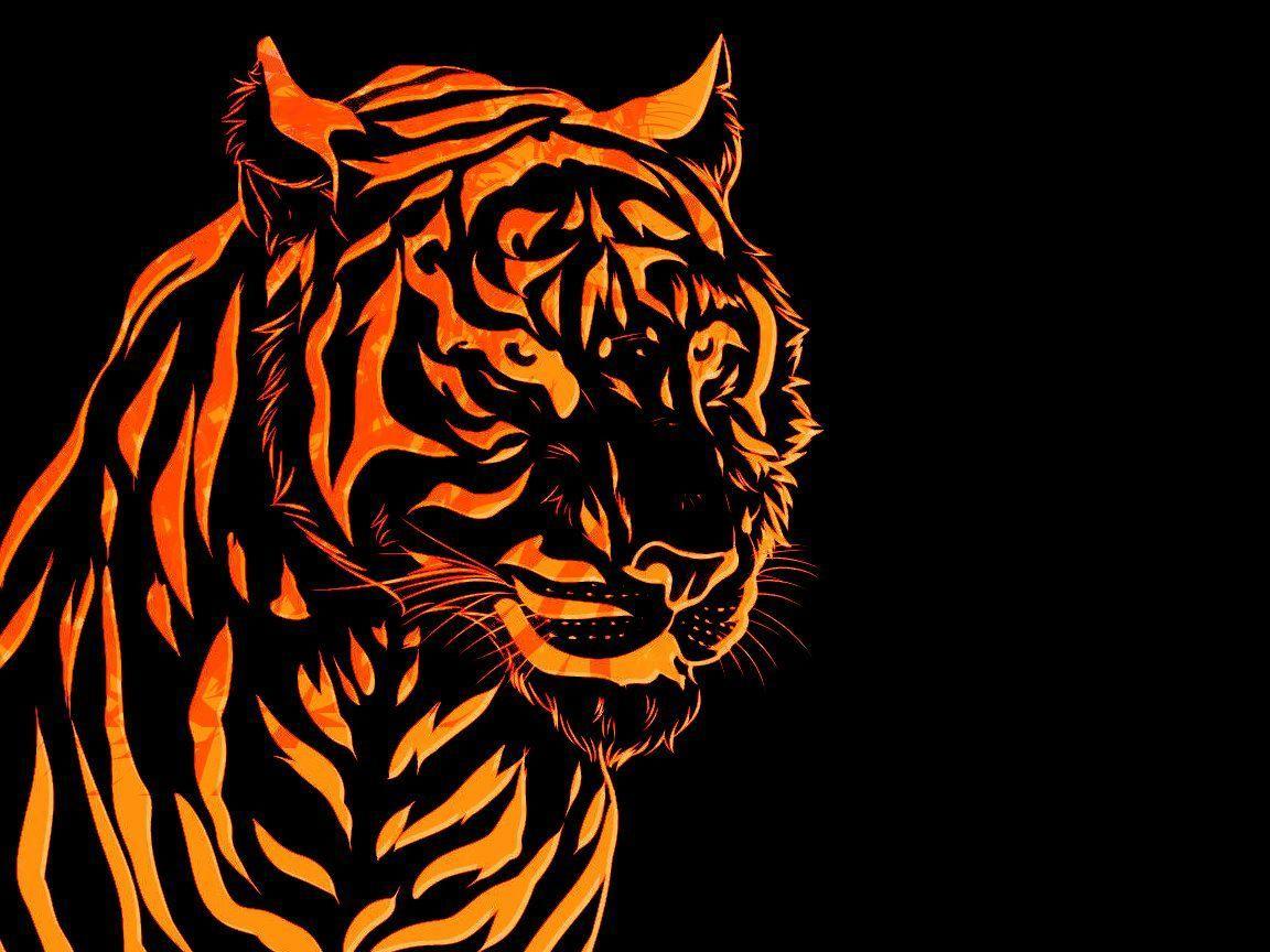 1152x864 Fire Tiger