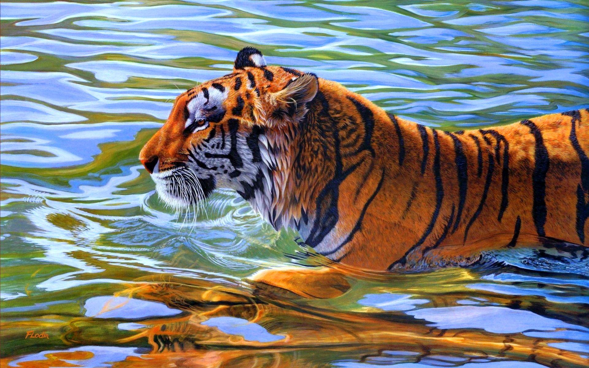 1920x1200 Tiger In Water Animals Image HD .