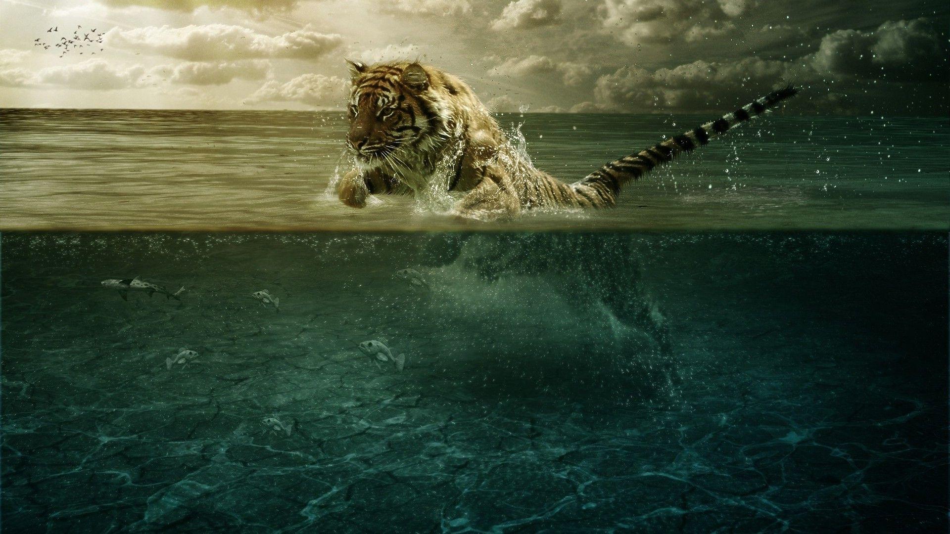 1920x1080 Tiger in Water [1920x1080] :