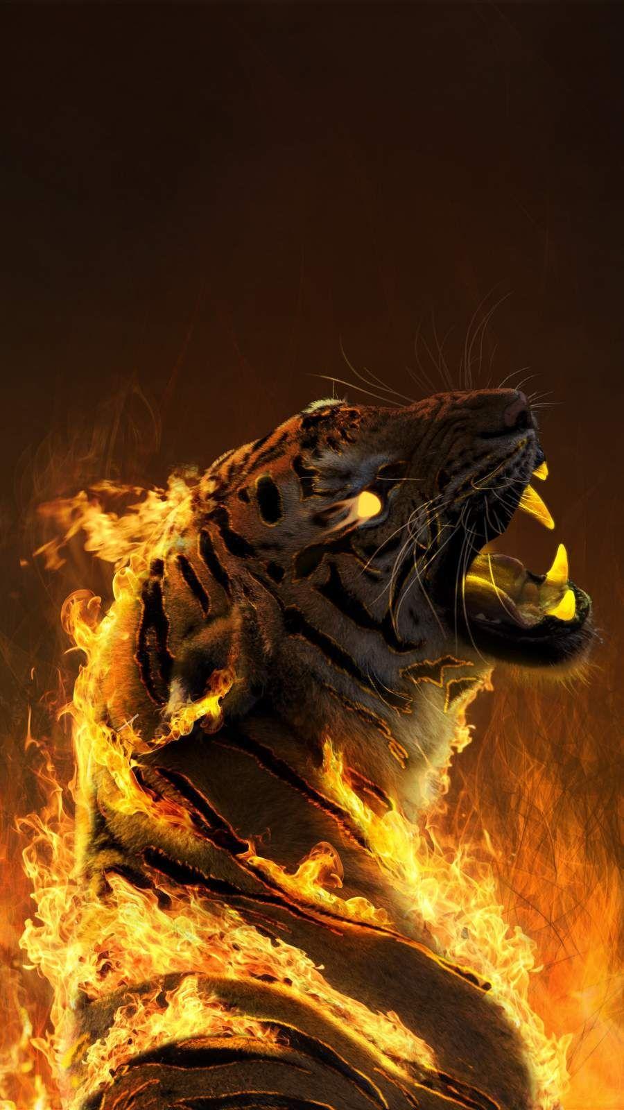 Tiger iphone HD wallpapers | Pxfuel
