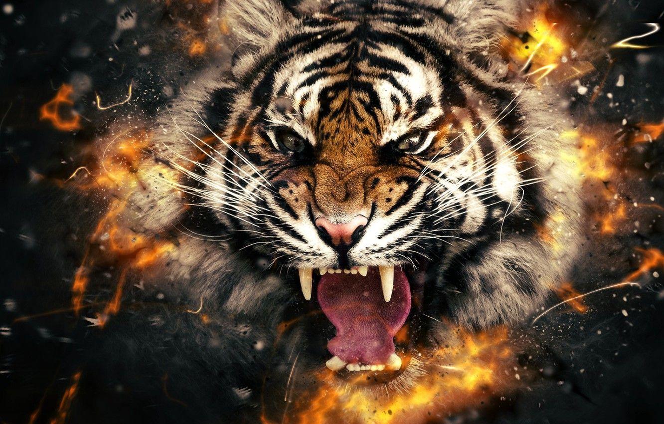 1332x850 Wallpaper tiger, fire, head