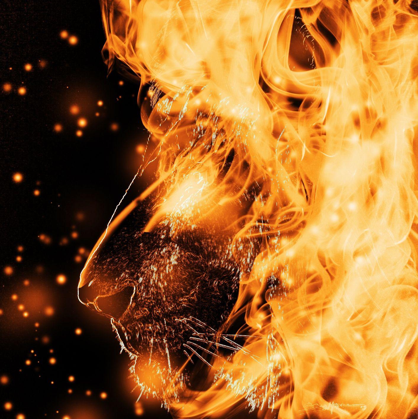 1413x1417 Purple Fire Lion Wallpaper .line.