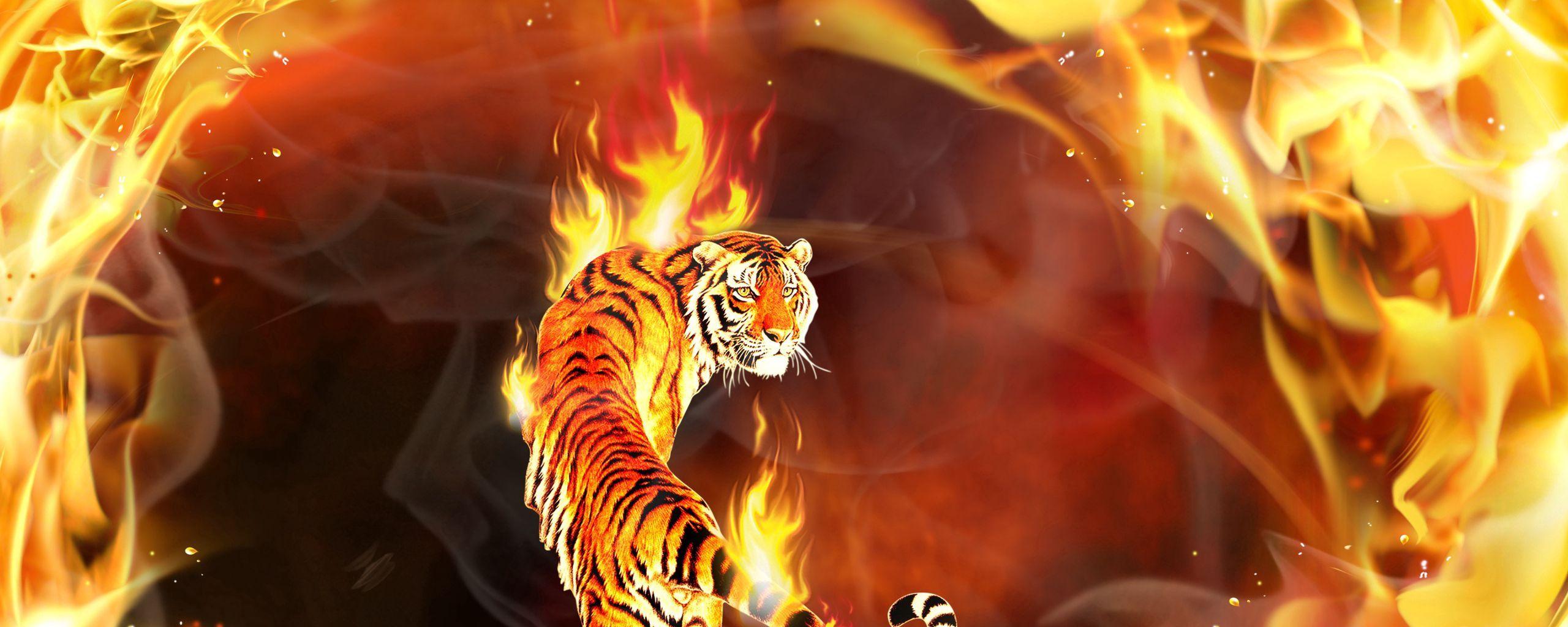2560x1024 Download wallpaper 2560x1024 tiger .