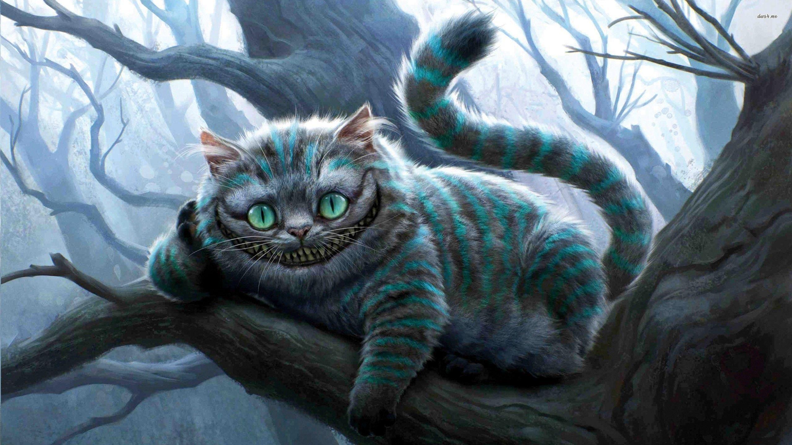 2560x1440 Cheshire Cat Wallpaper for Laptop .