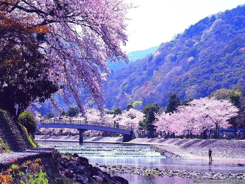 1024x768 Japanese Nature Wallpaper Desktop .