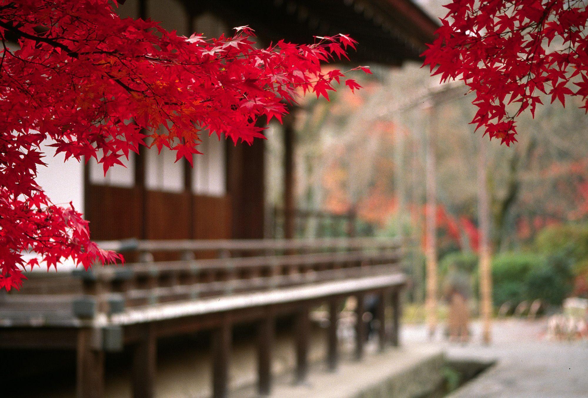2000x1353 Japanese Scenery Wallpaper .