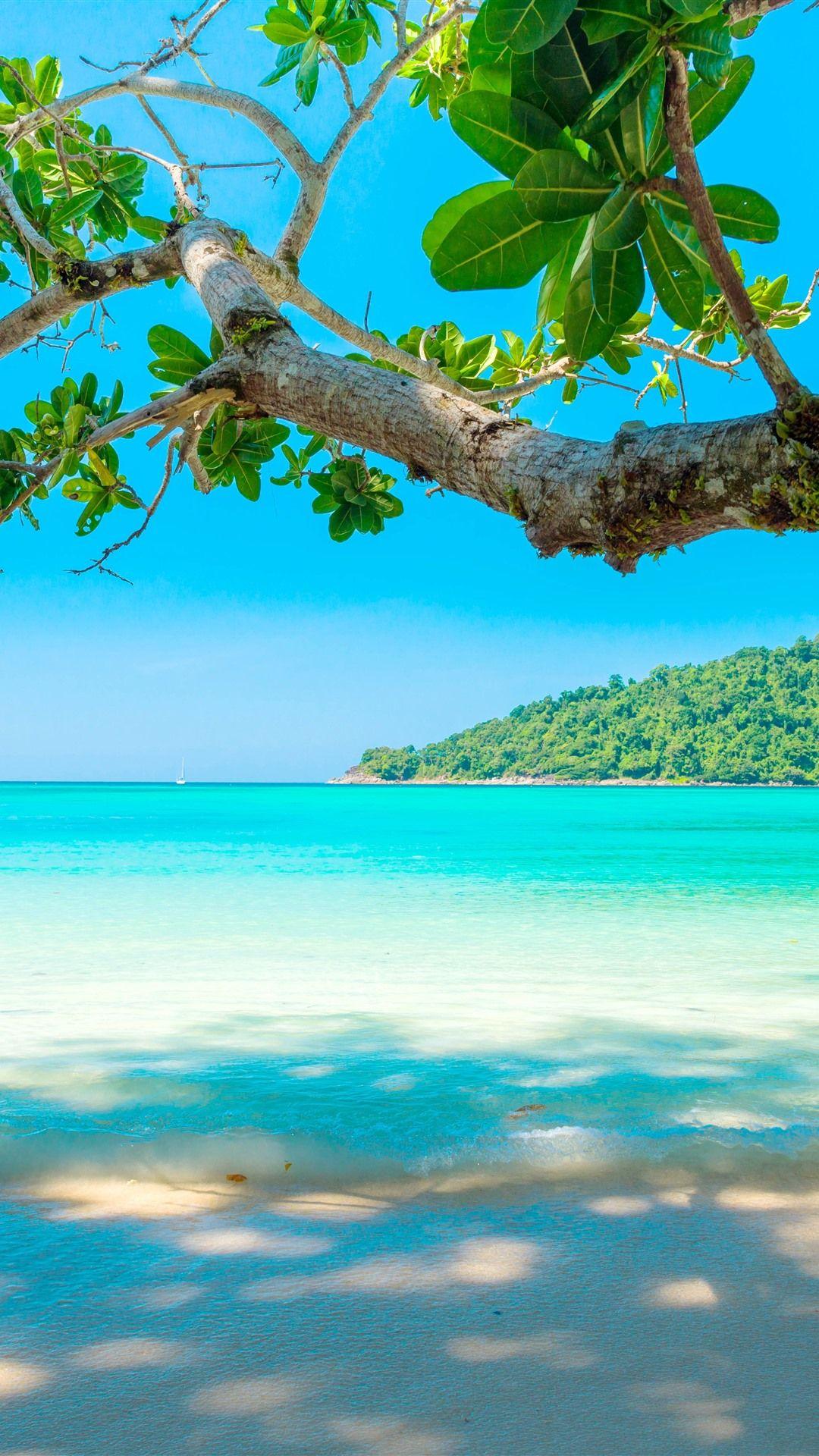 1080x1920 Beautiful Sea, Beach, Tree, Tropical 1242x2688 IPhone 11 Pro XS Max Wallpaper, Background, Picture, Image