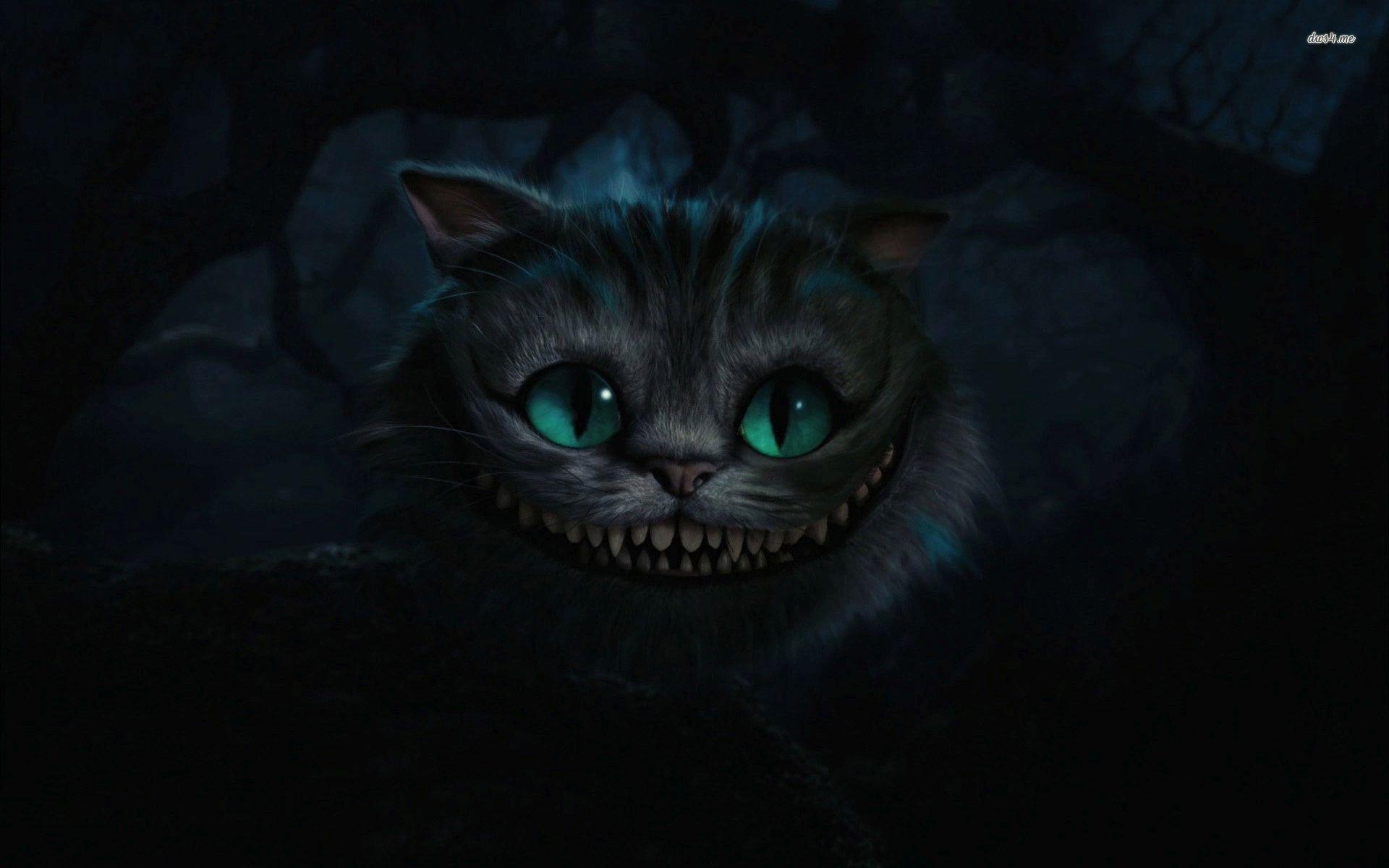 1920x1200 Cheshire Cat Wallpaper