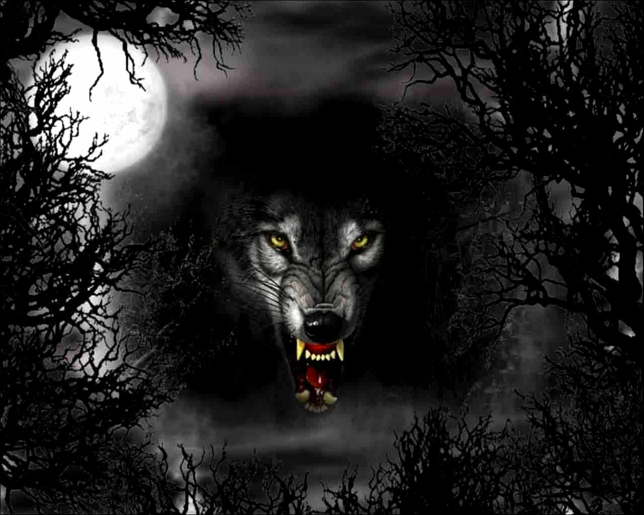 Epic Wolf Wallpapers - Top Free Epic Wolf Backgrounds - WallpaperAccess