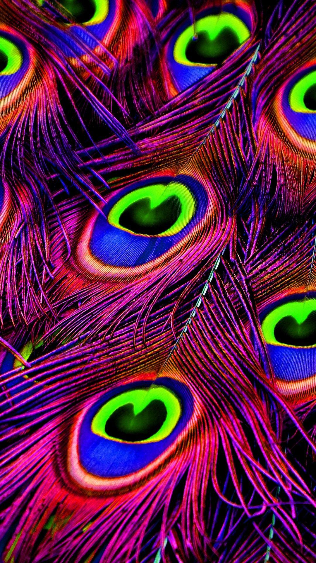 Neon Feather Wallpapers - Top Free Neon Feather Backgrounds -  WallpaperAccess
