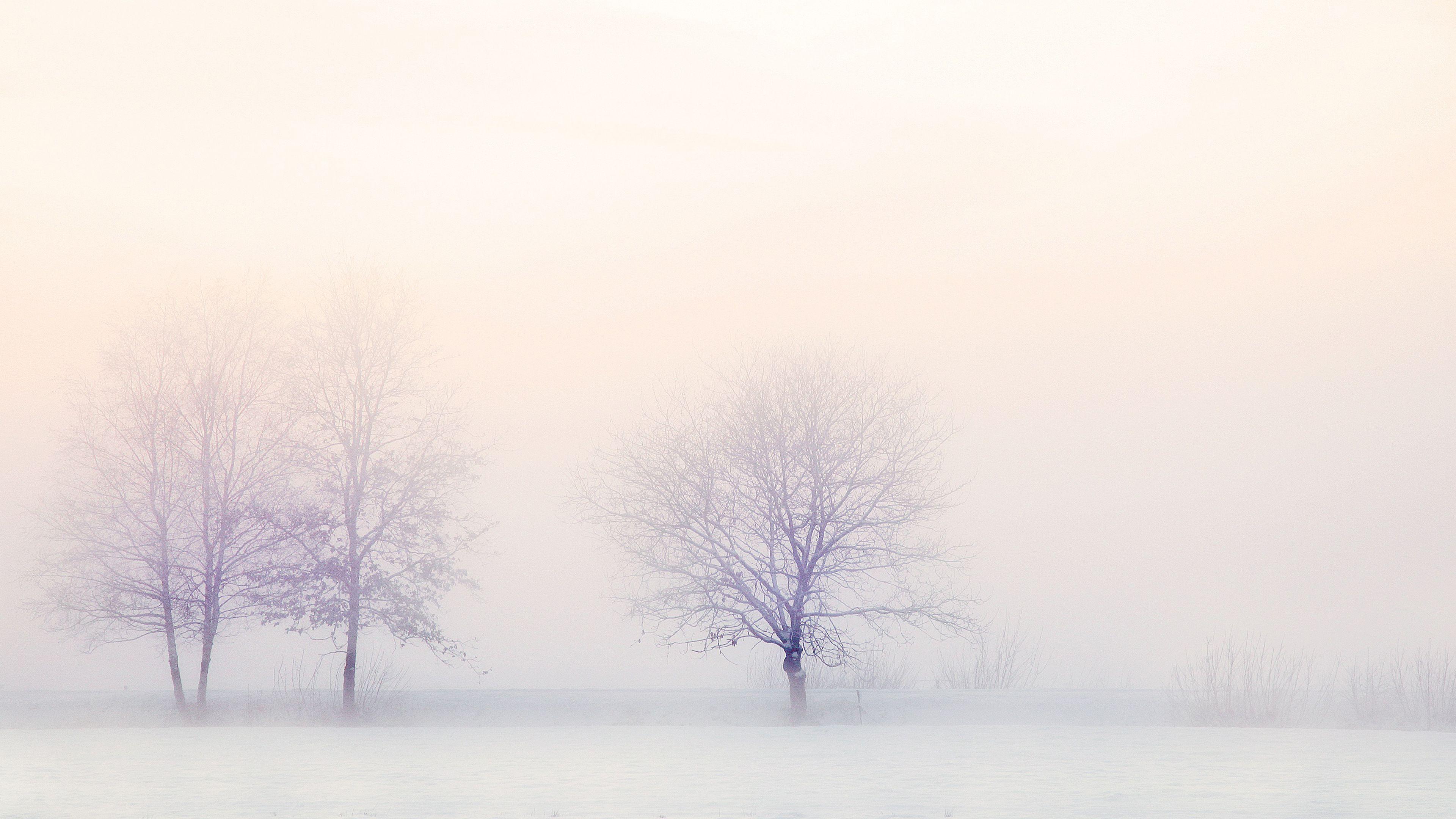 3840x2160 4K White Out Wallpaper x .