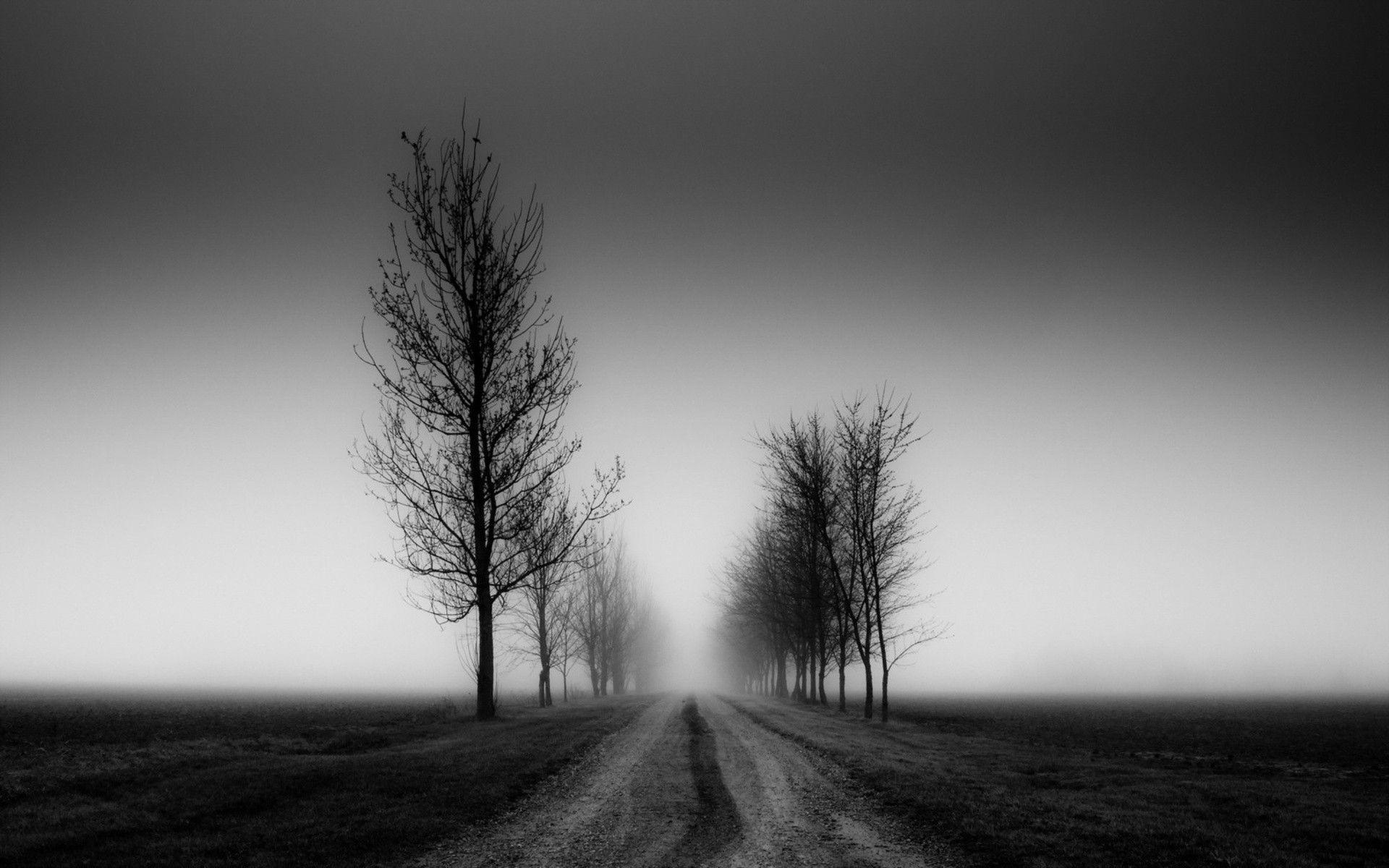 1920x1200 Ultra HD Black And White Wallpaper .