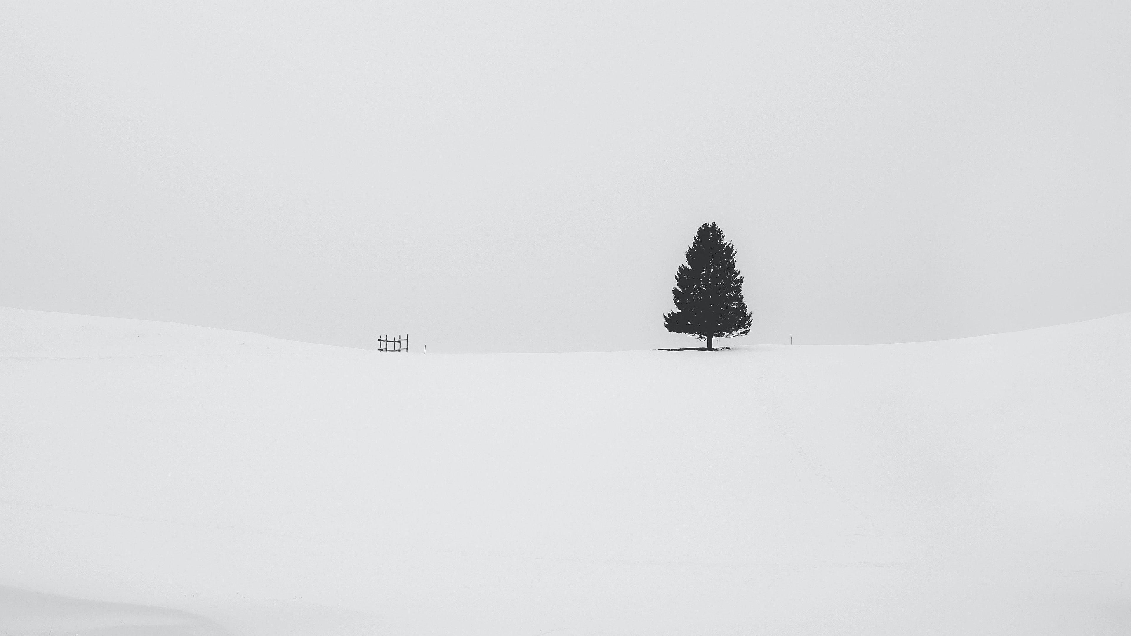 3840x2160 White Wallpaper 5 4K HD White .hdwallpaper.in
