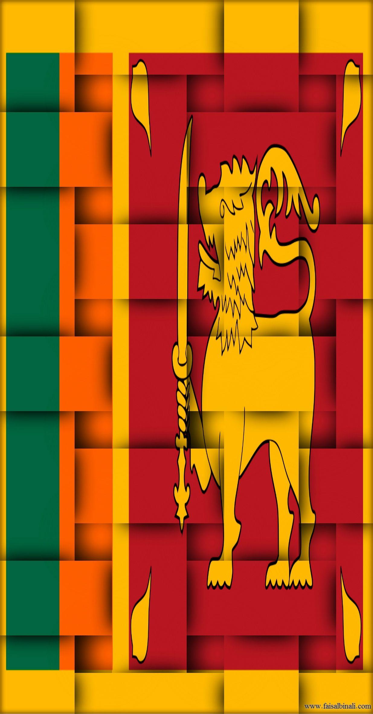 1235x2362 Sri Lanka Flag iPhone Wallpaper .