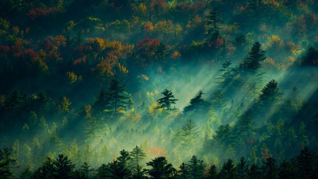 1280x720 Consciously.lifeconsciously.life