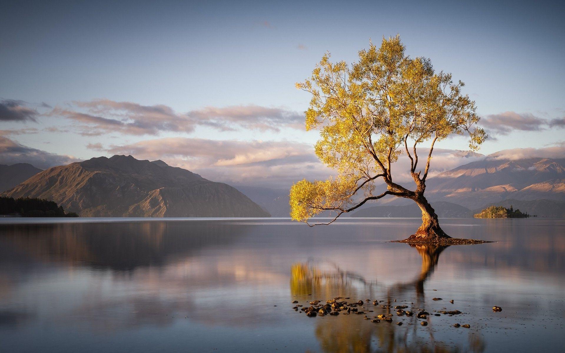 1920x1200 landscape, Nature, Sunrise, Lake, Trees .