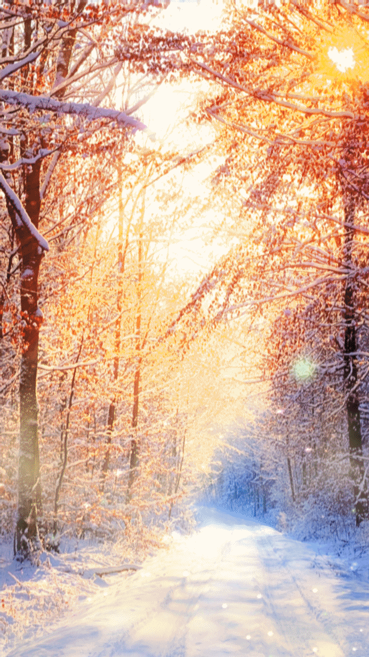 720x1282 winter sunrise wallpaper. winter sun .com