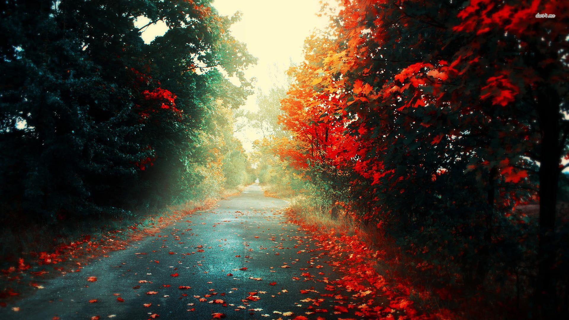 1920x1080 Earth Artistic wallpaper (Desktop, Phone, Tablet) Desktop