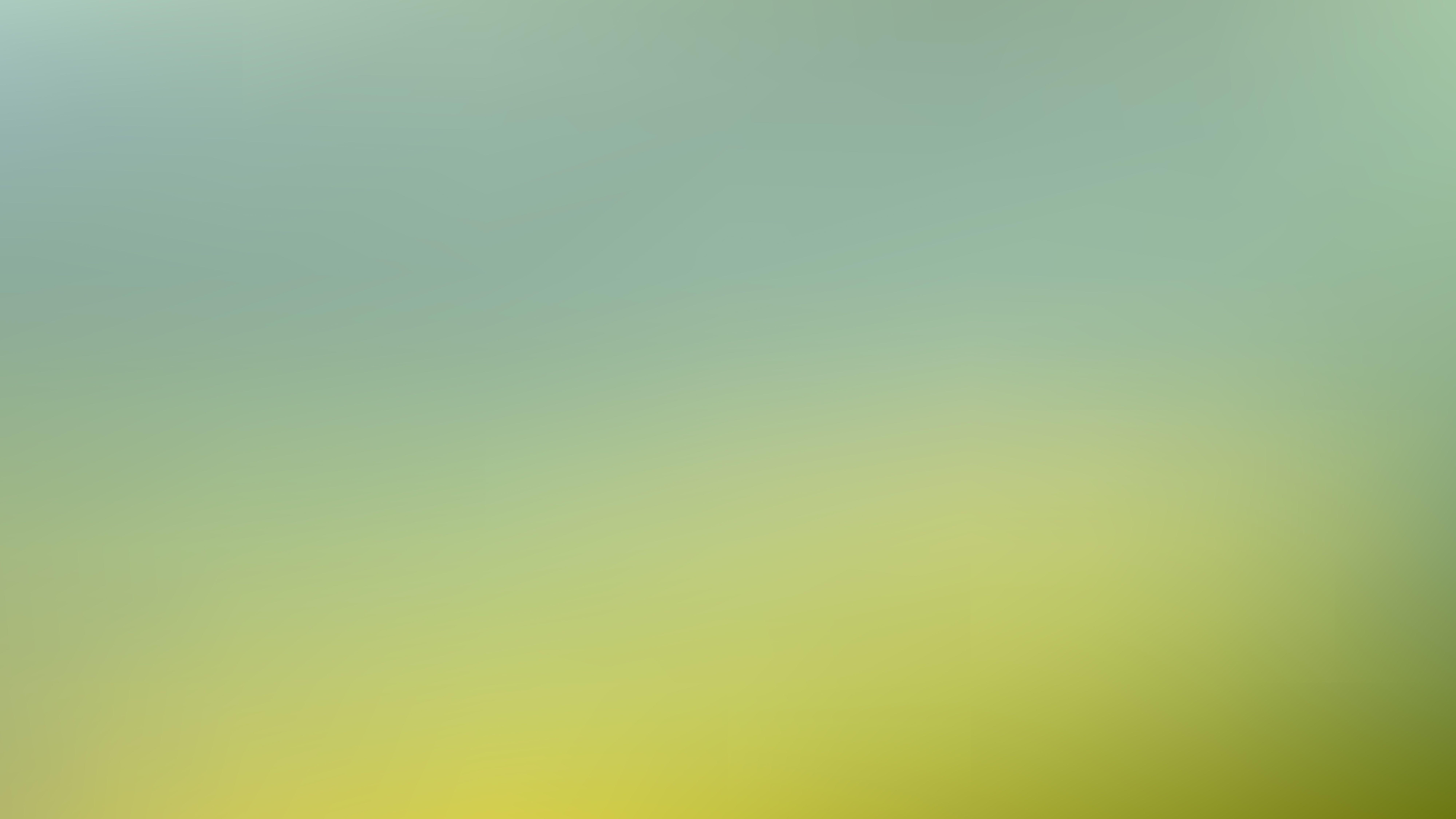 8000x4500 Free Light Green Blur Photo Wallpaper