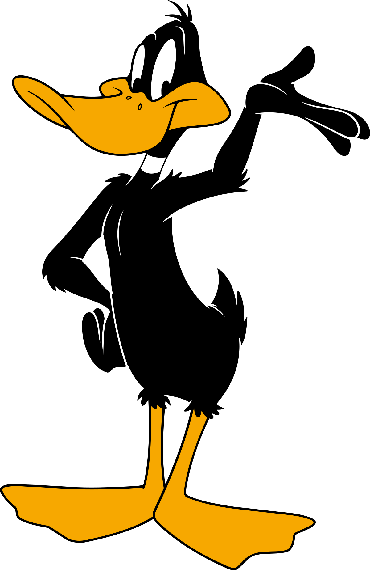 1200x1848 Daffy