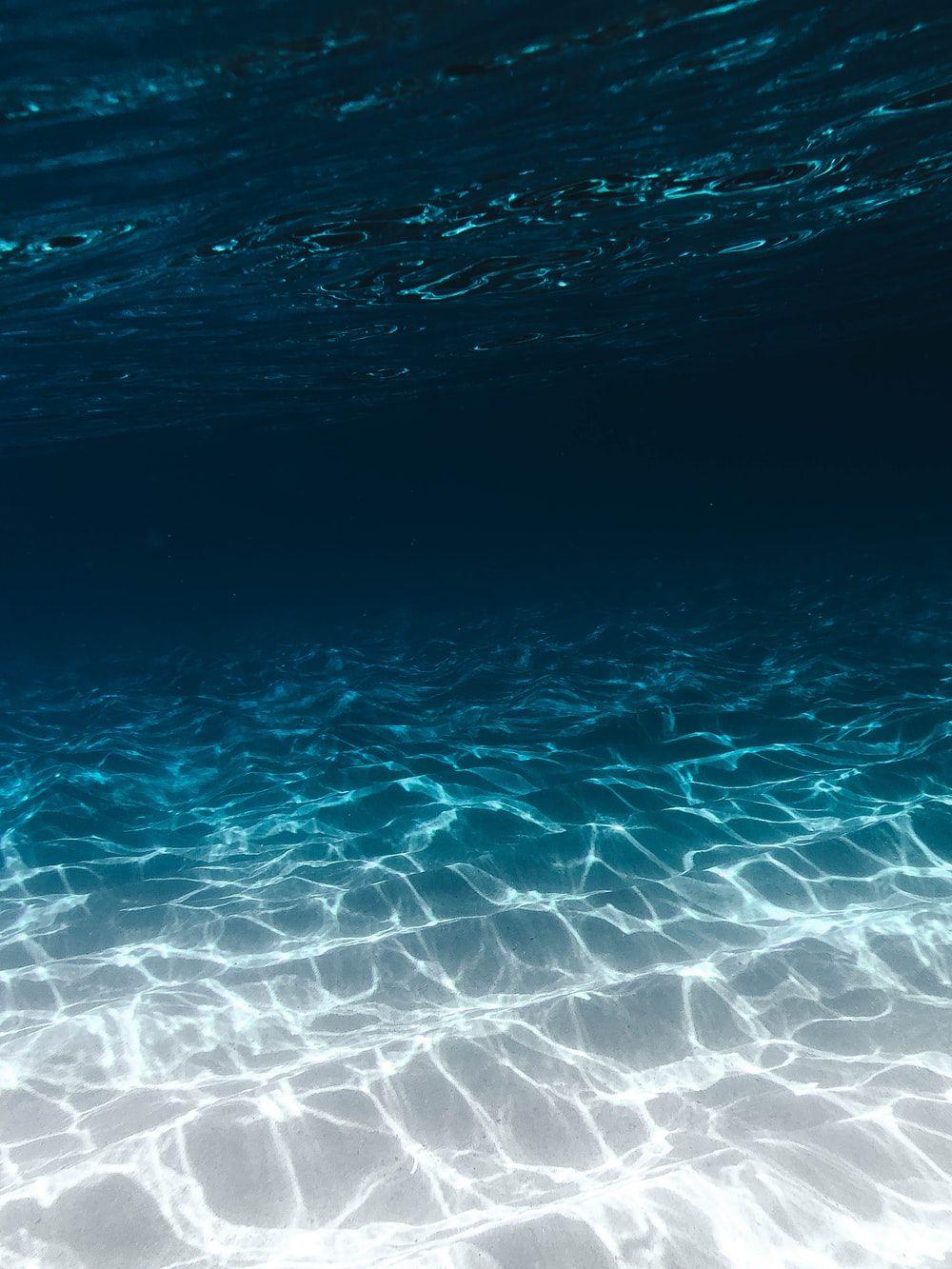 Underwater Photography HD Wallpapers - Top Free Underwater Photography ...