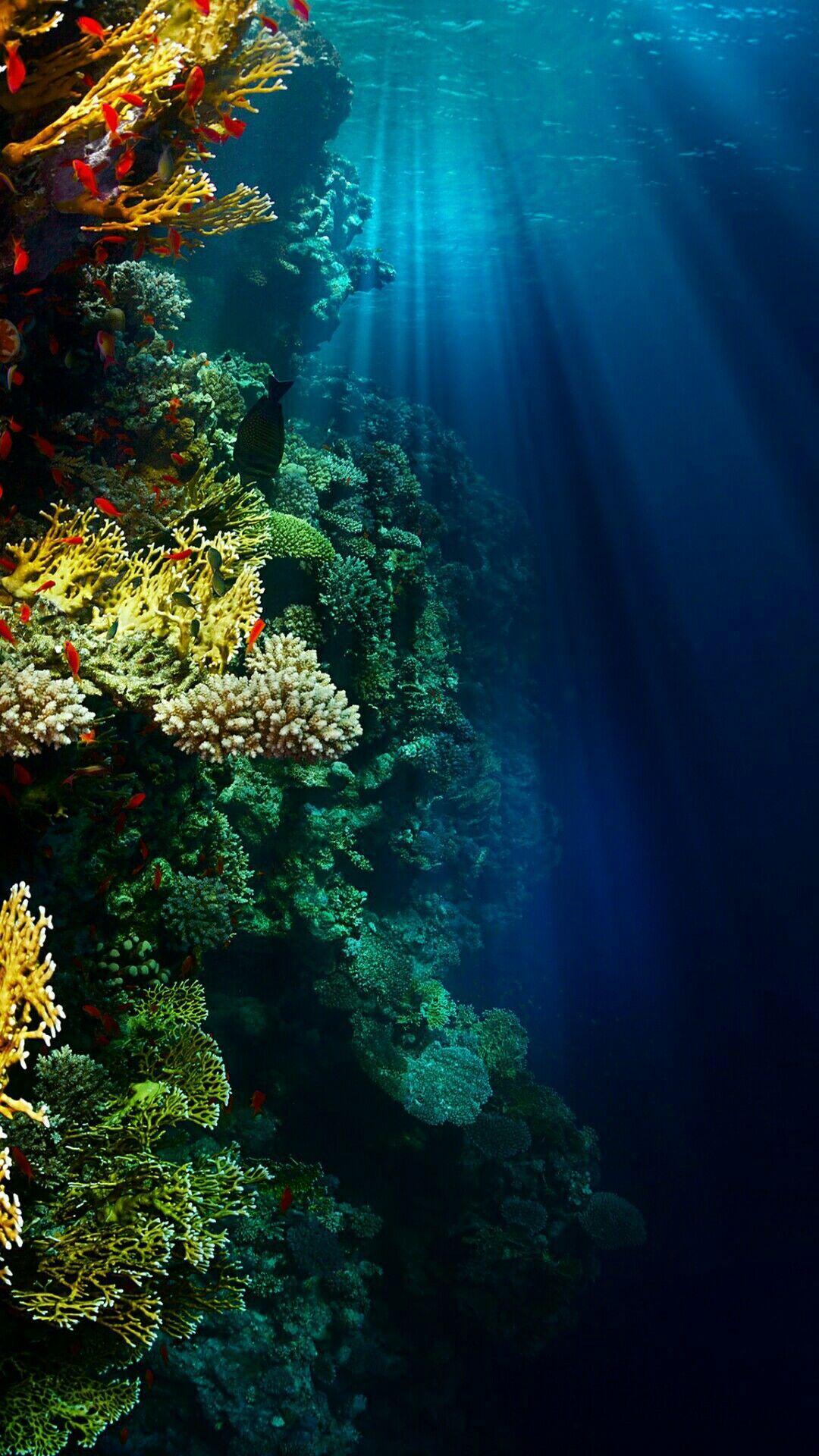 1080x1920 Underwater Wallpaper Hdstorage.