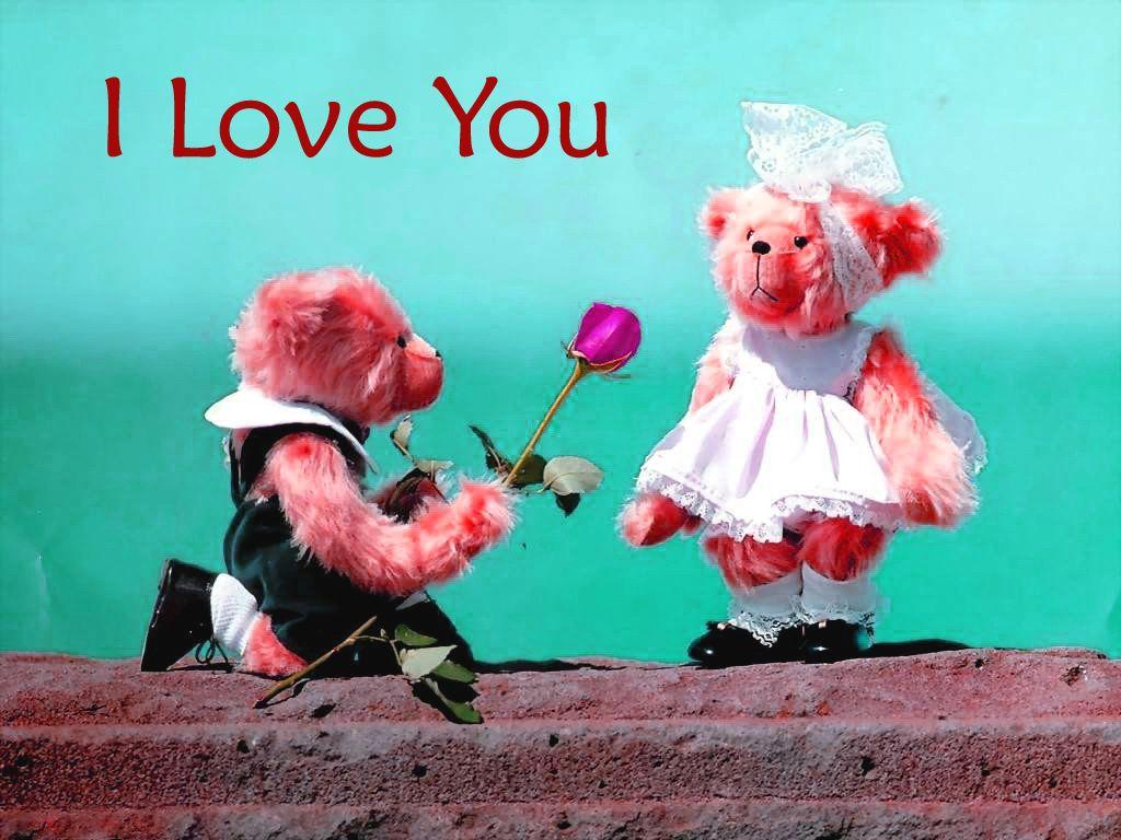 1024x768 Live Love Wallpaper HD Free Download