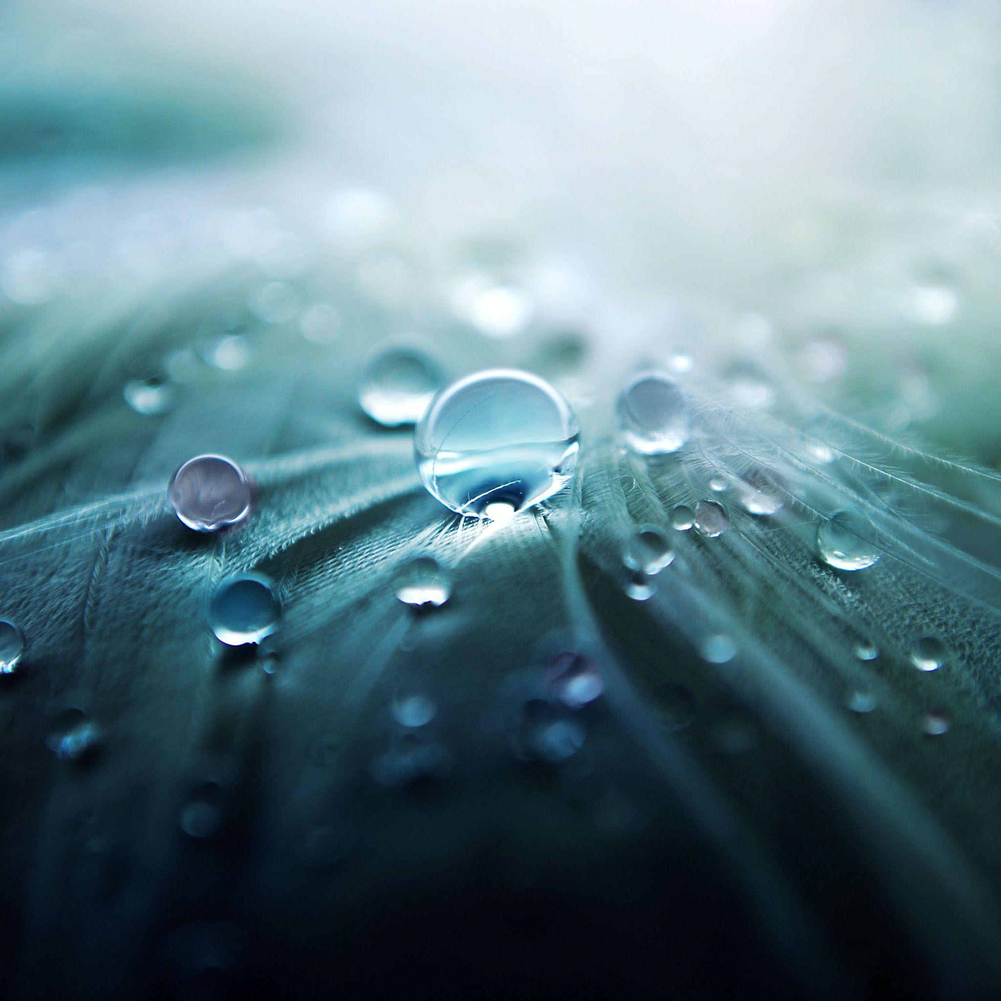 2048x2048 Retina Display Wallpaper on .