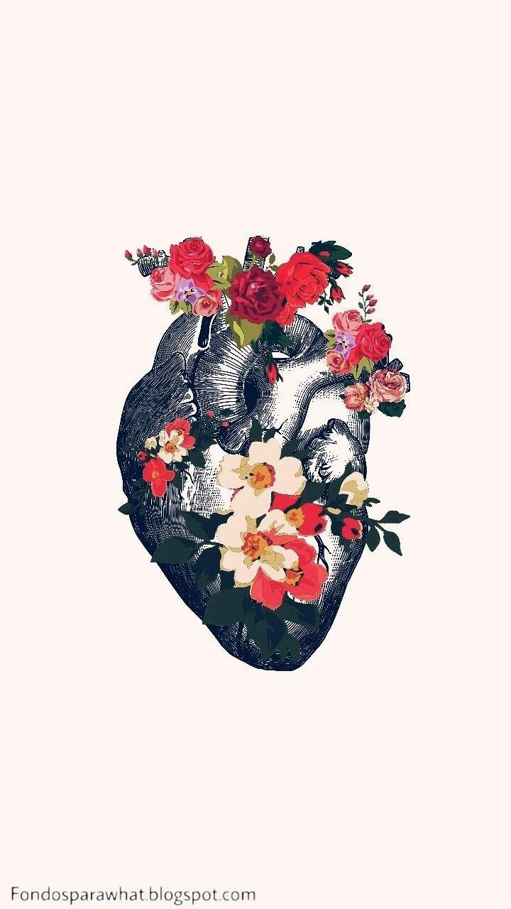 720x1280 Anatomy art, Cute wallpaper, Art