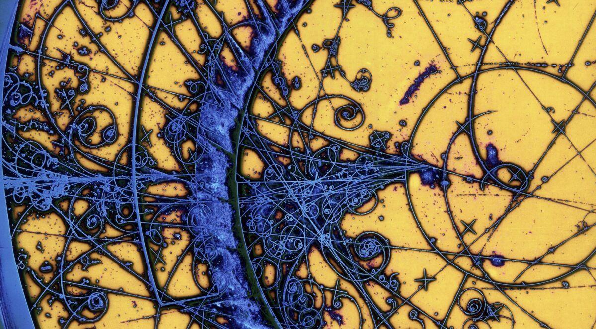 1200x663 Biology, Science, Art, Psychedelic .