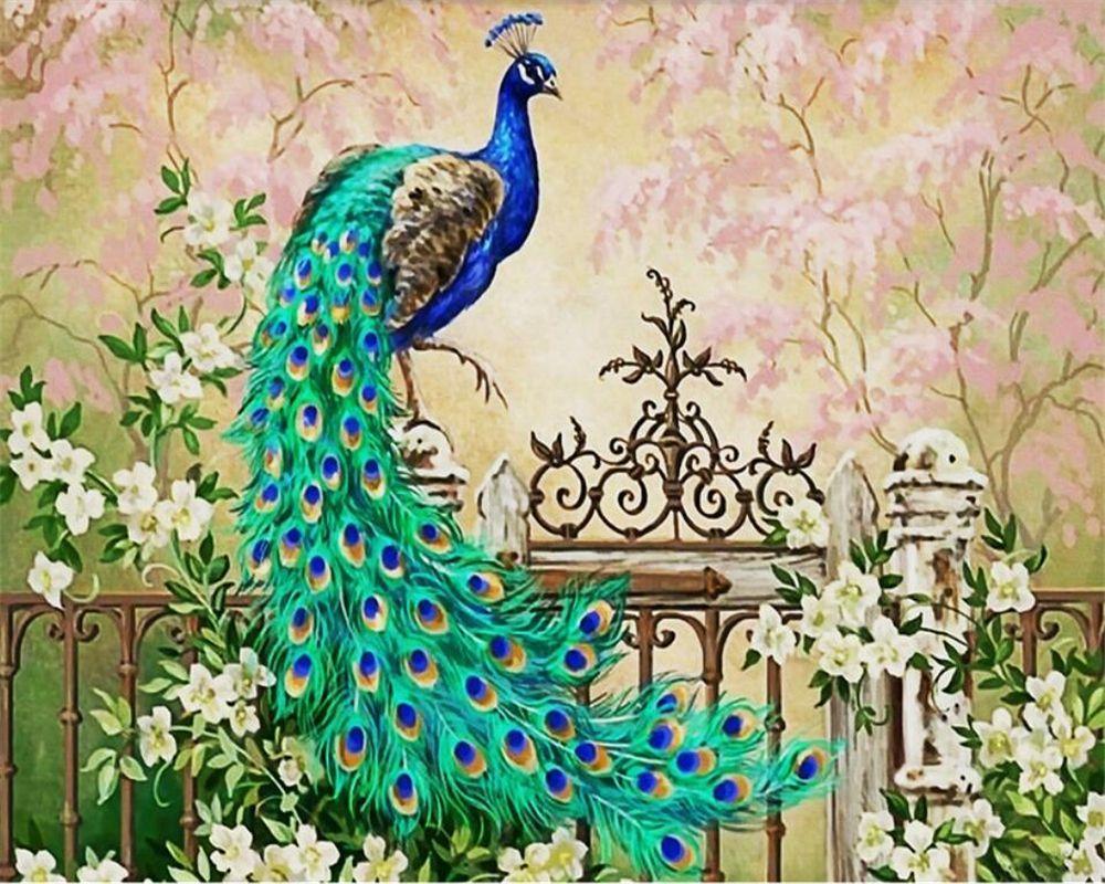 1000x800 Peacock Wallpaper