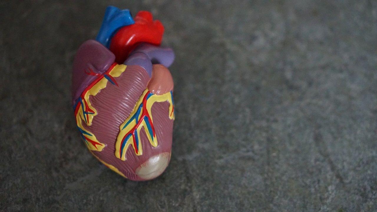 1280x720 Heart HD Medical Art Wallpaper</a .