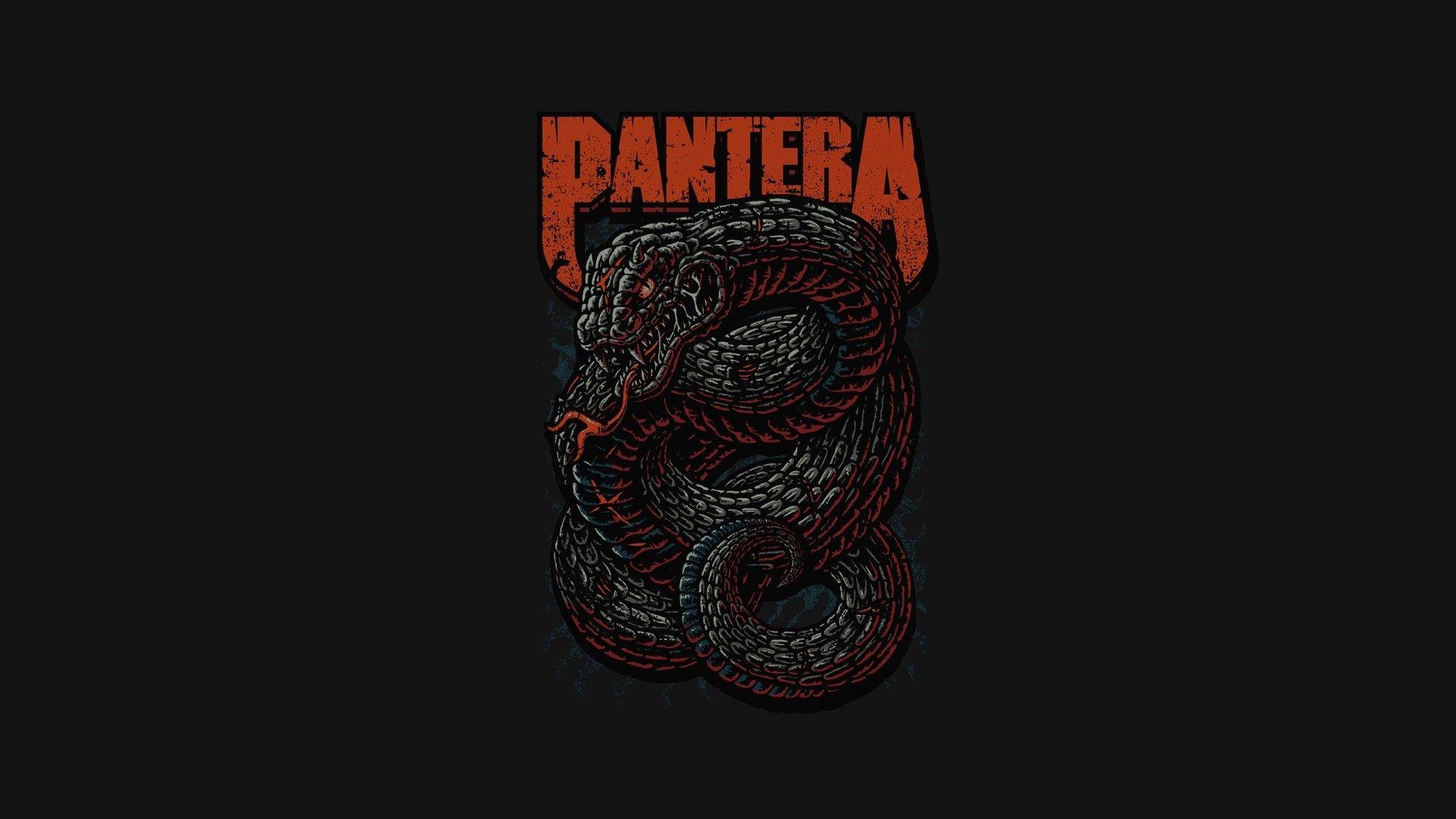 1920x1080 Pantera Heavy Metal Thrash Metal Snake .