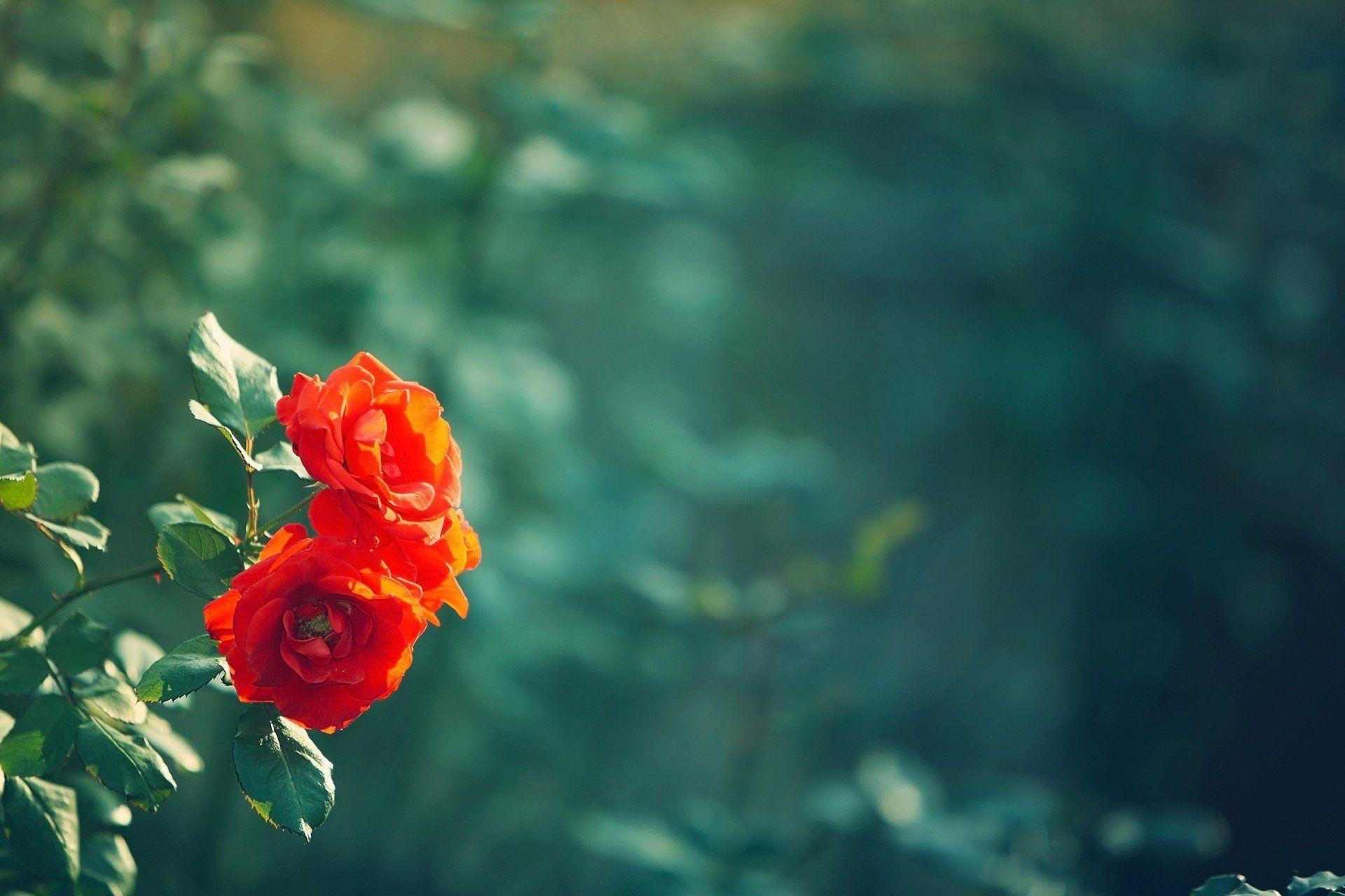 1920x1280 Blur Colors Wallpaper HD Wallpaper .