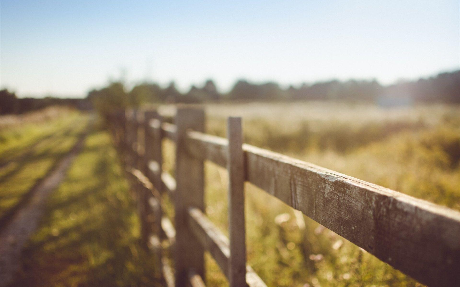 1920x1200 Summer, Fence, Blurry 1920x1200 HD .best