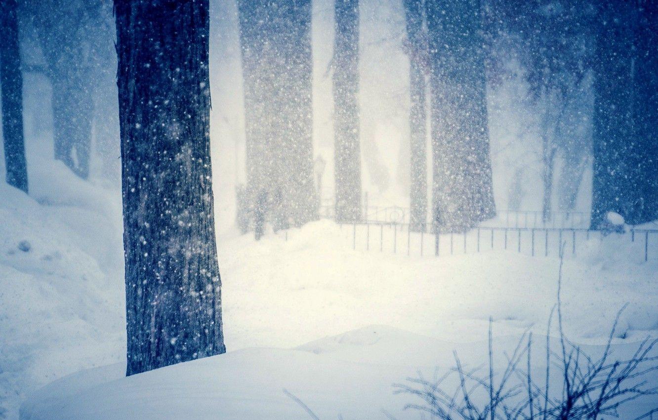 1332x850 Blur Nature Winter Wallpaper .