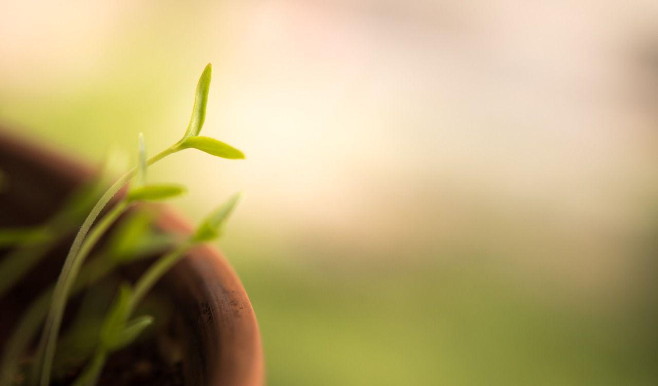 1280x751 Nature Blur Wallpaper