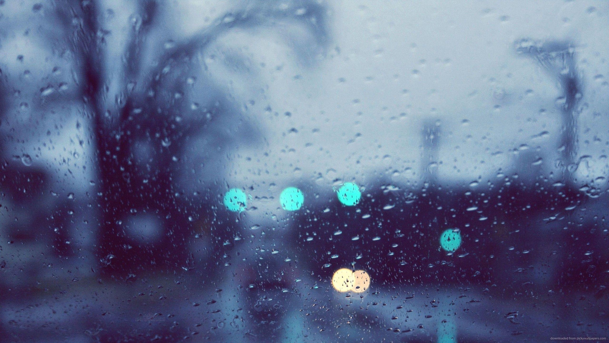 2560x1440 Blur HD Wallpaper Group 1920×1200 Blurry Picture Wallpaper (28 Wallpaper). Adorable Wallpaper. Rain wallpaper, Nature wallpaper, Blurry picture