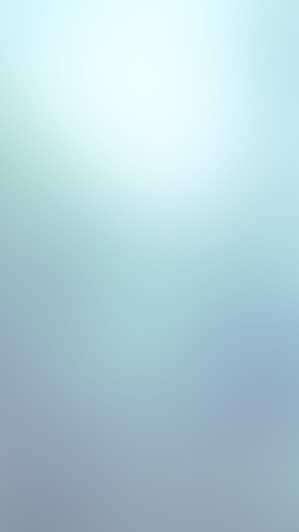 1242x2208 Snow Leopard Love Winter Gradation .