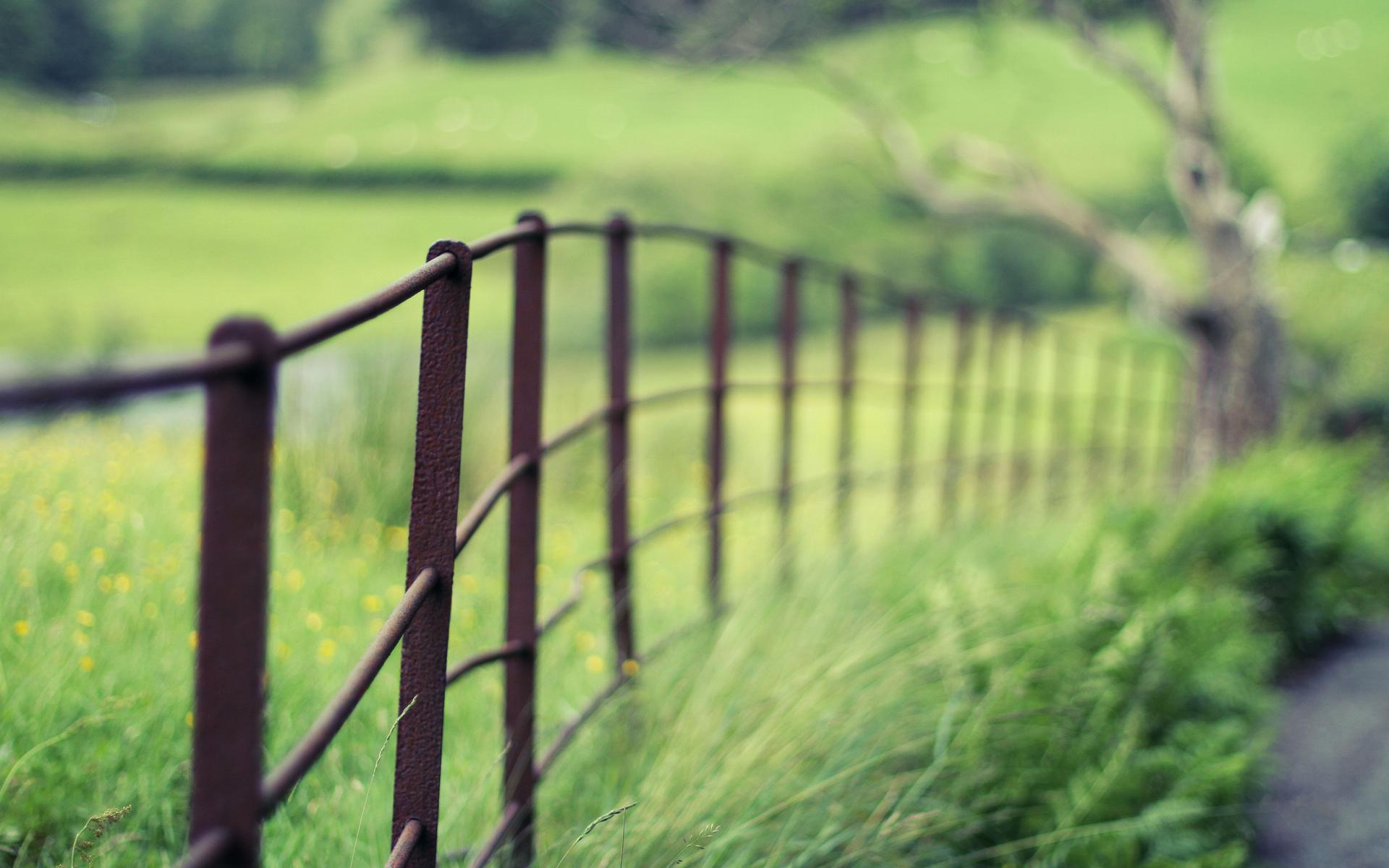 1920x1200 Nature Blur