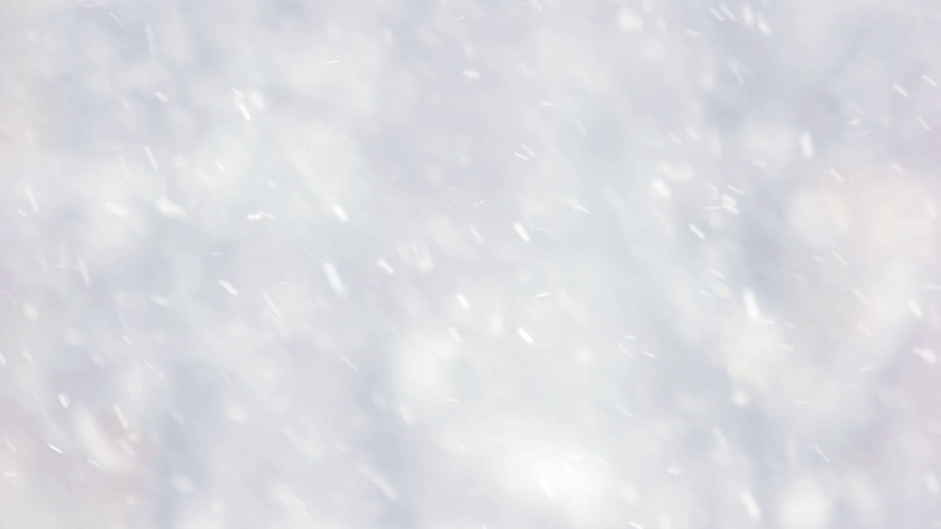 1920x1080 Winter forest blur background. Close up .